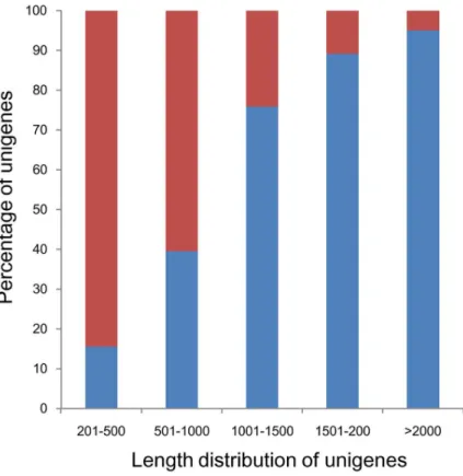 Figure 2. KOG functional classifications of the Capsicum annuum L. anther transcriptome.