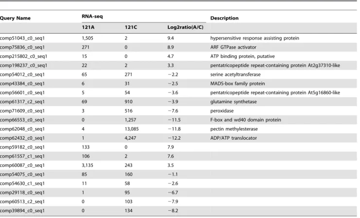 Table 2. List of the differentially expressed unigenes selected for confirmation by RT–PCR.