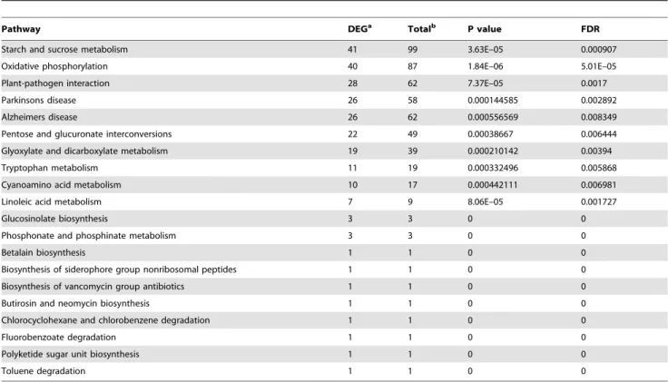 Table 4. Differentially expressed unigenes significantly enriched pathways.