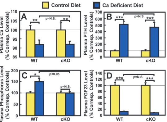 Figure 2. Effects of two-week dietary calcium restriction on plasma calcium (A), PTH (B), phosphorus (C), and FGF23 (D) of osteocyte Igf1 cKO mice and those of WT mice