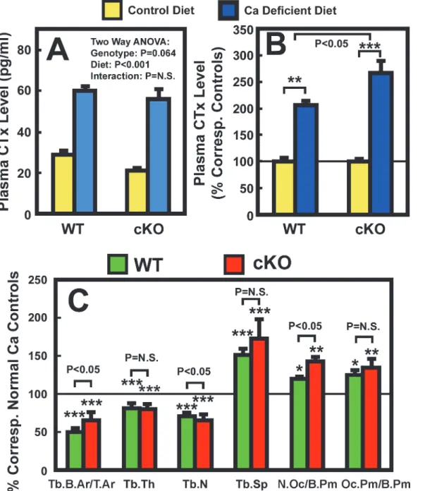 Figure 3. Effects of two-week dietary calcium restriction on plasma CTx (A and (B) and on histomorphometric parameters of the femur (C) of osteocyte Igf1 cKO mice and those of WT mice