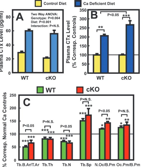 Figure 3. Effects of two-week dietary calcium restriction on plasma CTx (A and (B) and on histomorphometric parameters of the femur (C) of osteocyte Igf1 cKO mice and those of WT mice