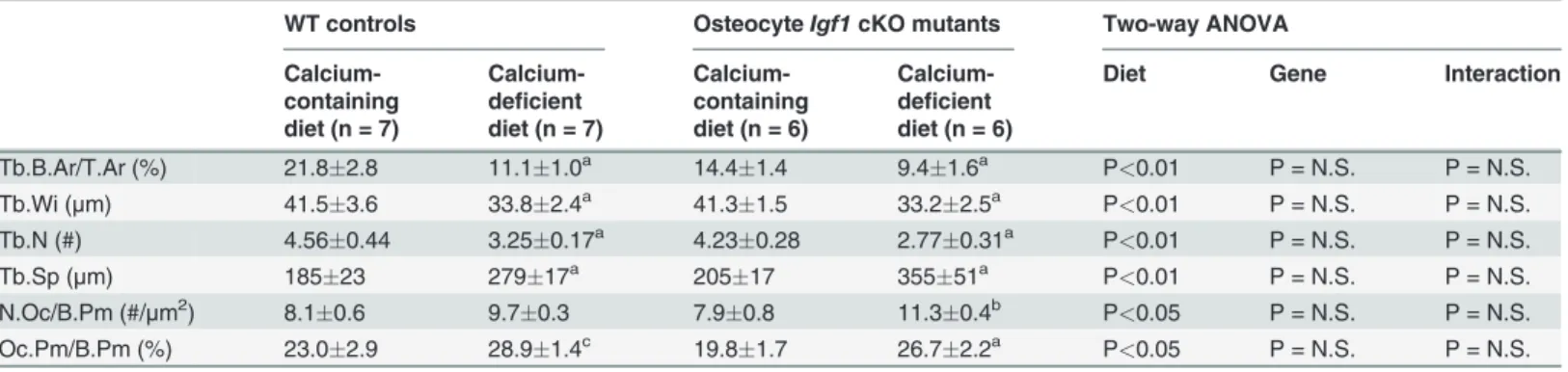 Table 3. Effects of the two-week dietary calcium depletion on static bone histomorphometric parameters of trabecular bone at the secondary spongiosia of the distal femur.