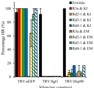 Figure 2. HR responses resulting from R3a* recognition of AVR3a EM and AVR3a KI , like those caused by wild-type R3a recognition of AVR3a KI , are dependent on SGT1 and HSP90.