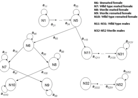 Figure 1. A path diagram of the transitions of the matrix population model employed when larval stages are distinct, to allow for a time lag following oviposition, male mortality is age-dependent, and females mate with wild-type males, sterile males, or bo