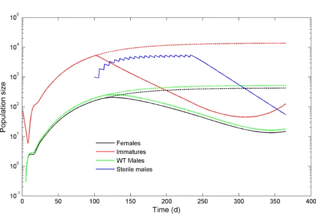 Figure 2. Simulation of a SIT release, showing population sizes of females, wild-type males and larvae, and sterile males that are released at weekly intervals