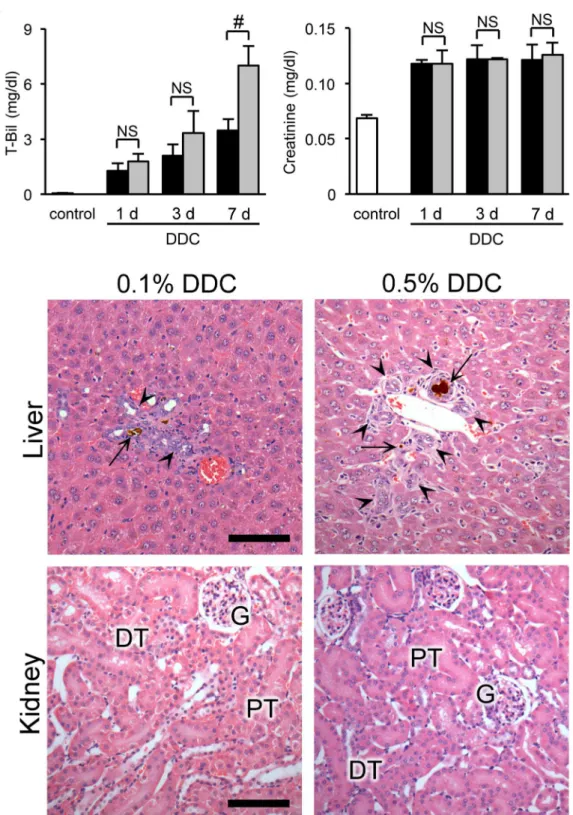 Fig 8. The relationship between renal impairment and liver dysfunction in dose-response analyses