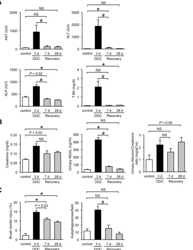 Fig 9. The relationship between renal impairment and liver dysfunction in feed-withdrawal analyses