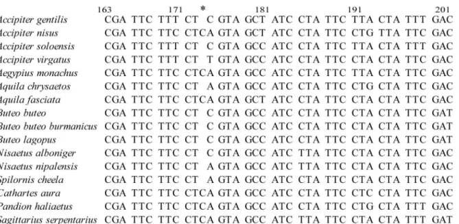 Fig 2. Alignment of the mitochondrial MT-ND3 gene region spanning the extra base site (designated by * ) for 16 Accipitriformes species