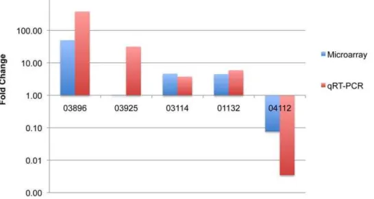 Figure 6. Comparison of microarray data to qRT-PCR data in terms of relative expression (fold change) of five selected ORFs