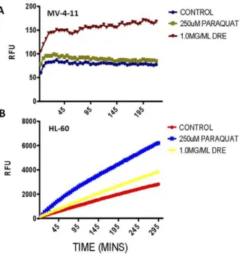 Figure 7. DRE increases ROS production in isolated mitochon- mitochon-dria from CMML cells