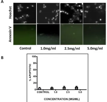 Figure 9. DRE does not target normal non-cancerous periph- periph-eral blood mononuclear cells (ncPBMCs)