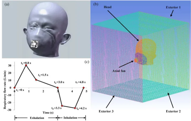 Fig 2. Simulation model: (a) 3D geometric model (b) finite element mesh for CFD simulation (c) the respiratory flow rate.