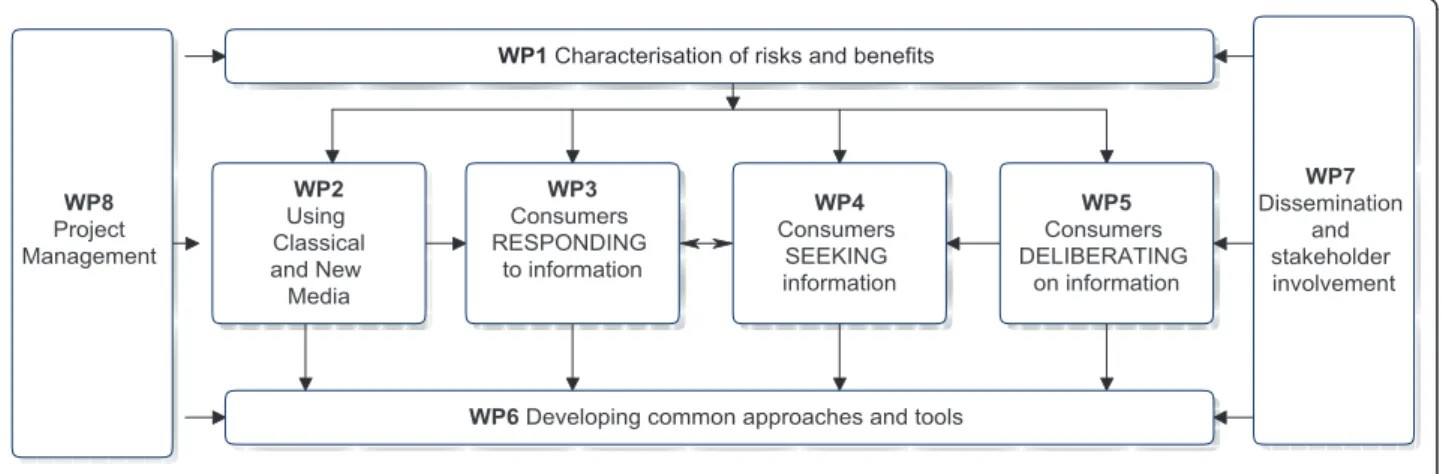 Figure 3 The overall structure of the FoodRisC work plan.