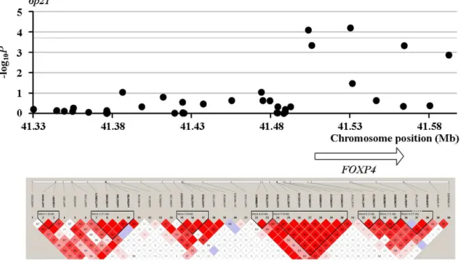 Figure 4. LD maps of the tested SNPs and association test results for the loci around rs339331 in Phase II.