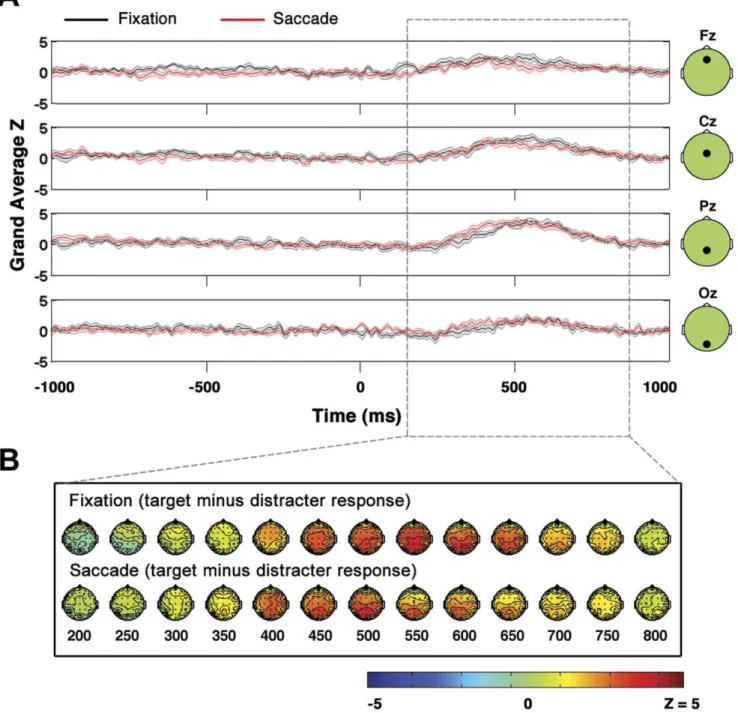 Figure 4. Comparison of fixation and saccade P3s. When P3s in saccade and fixation conditions are compared, saccade related EOG and EEG activity cancels in the saccade target minus saccade distracter subtraction, and there are no significant differences ob