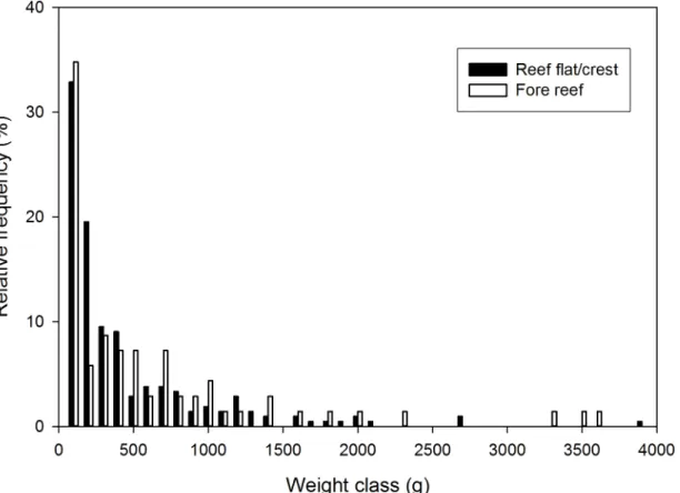 Fig 6. Relative frequency plot of estimated weights of corymbose Acropora colonies at KWMA