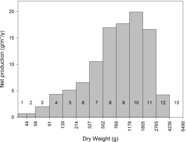Fig 7. Net annual dry-weight production, by weight class, of corymbose Acropora on reef flats and crests at KWMA