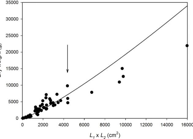 Fig 4. In situ dry-weight predictor for corymbose Acropora colonies at KWMA. W = 0.2951(L 1  L 2 ) 1.2040 ; r 2 = 0.936