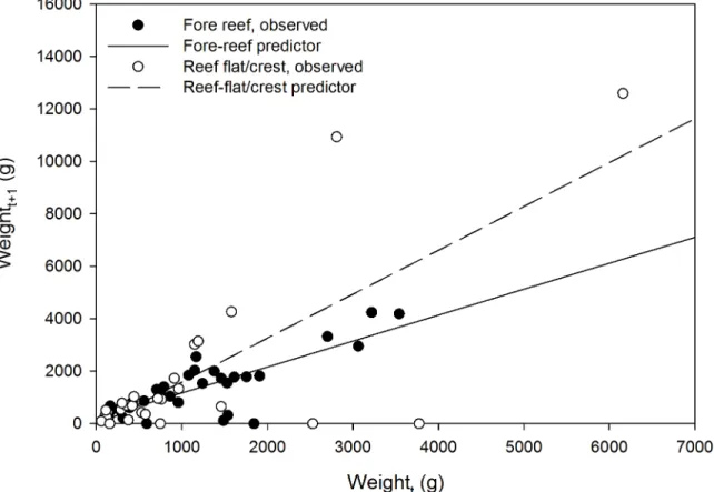 Fig 5. Estimated weight of tagged colonies at the beginning (W t ) versus end (W t+1 ) of one year
