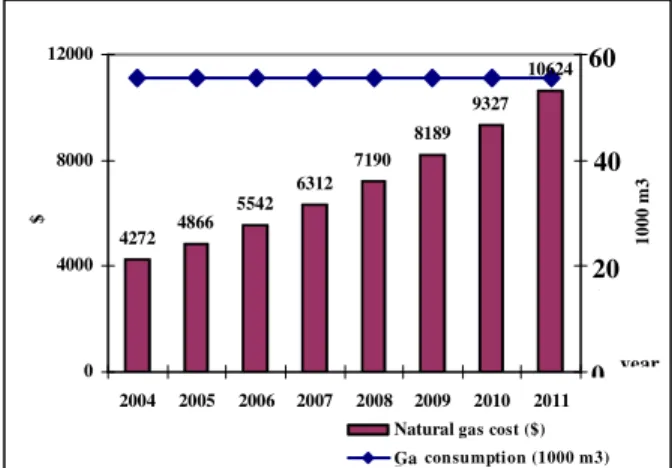 Fig. 7: Natural gas costs assuming fixed consumption in  coming years  [11]