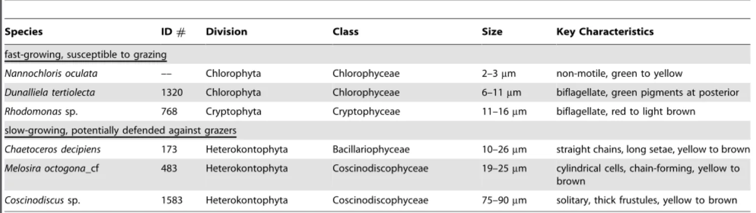 Table 1. Classification and key morphological characteristics of the study species.