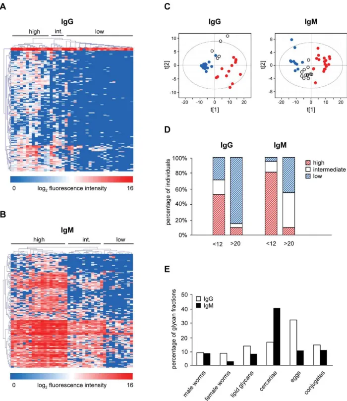 Figure 3. Age groups. Comparisons of anti-glycan responses between age group ,12 years and .20 years