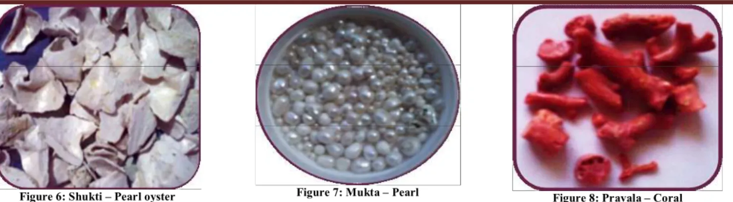 Figure 6: Shukti – Pearl oyster  Figure 7: Mukta – Pearl  Figure 8: Pravala – Coral 