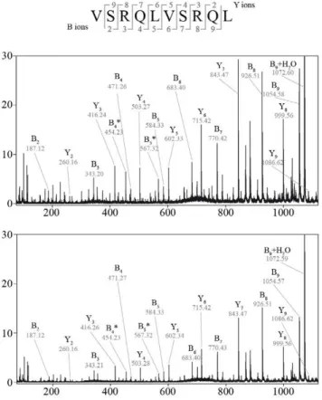 Table 4. PSP identified in proteasomal digestions of three additional polypeptides.