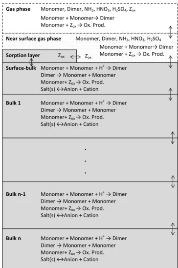 Figure 3. Schematic picture which illustrates the model structure and processes included in the kinetic multilayer model in  AD-CHAM