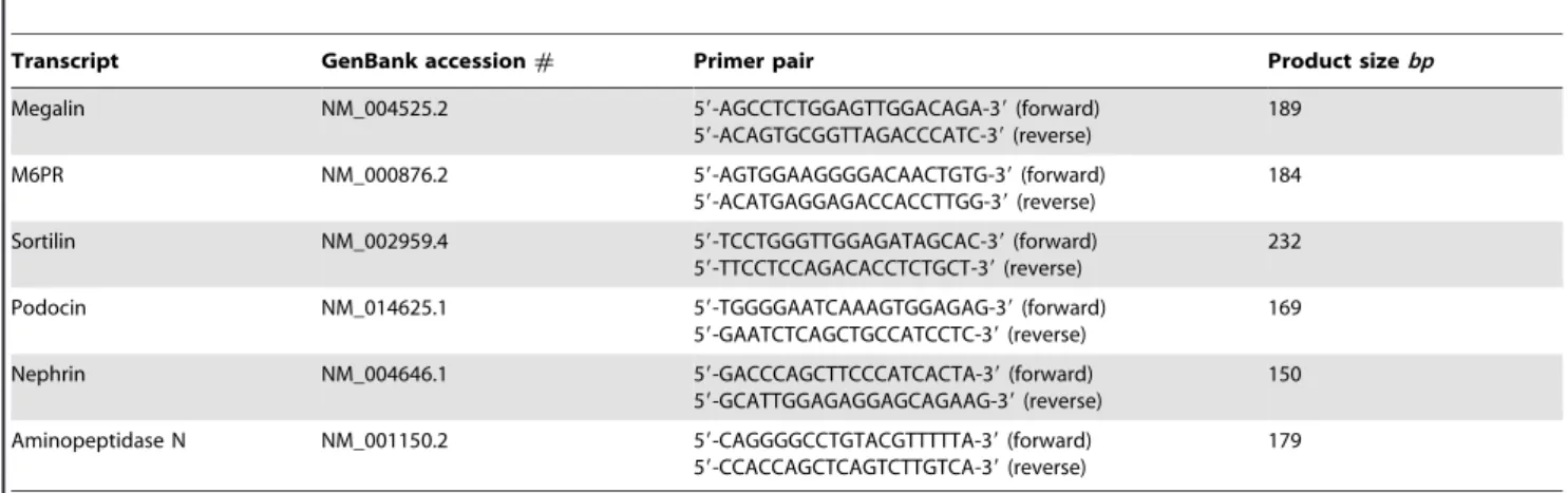 Table 1. Primers for RT-PCR.