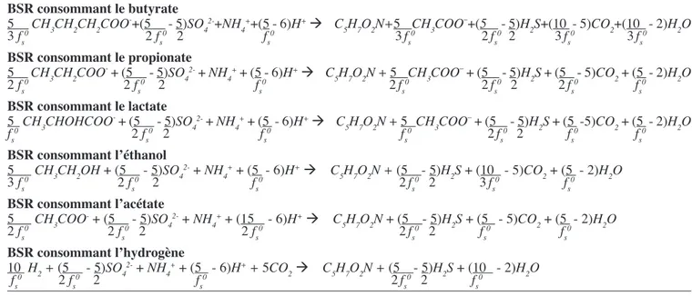 tableau  6.  Stœchiométrie  du  métabolisme  des  principaux  groupes  trophiques  de  bactéries  sulfato-réductrices  (BSR) — Metabolism stoichiometry of the sulphate-reducing bacteria (SRB) main trophic groups.