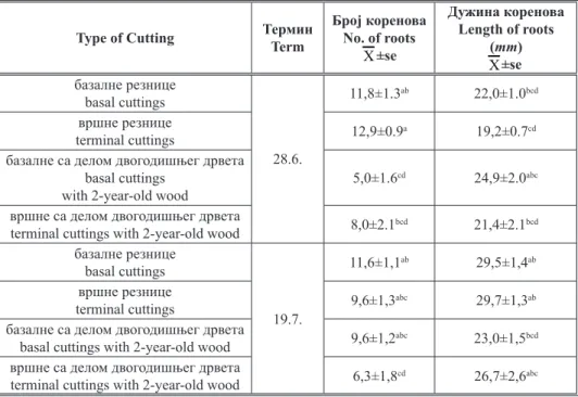 table 2.  Number and length of primary roots depending on the term of taking cuttings