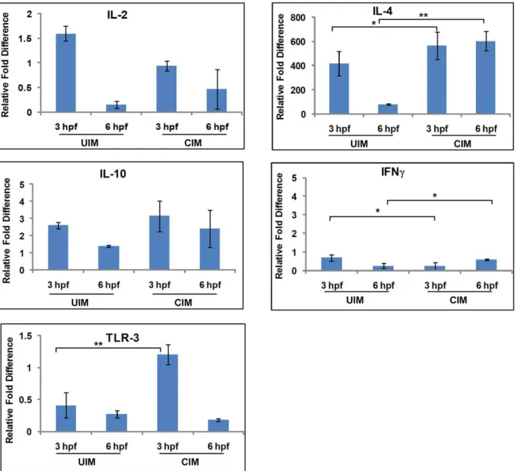 Figure 1. Comparison between uninfected mosquito (UIM) bites and CHIKV infected mosquito (CIM) bites