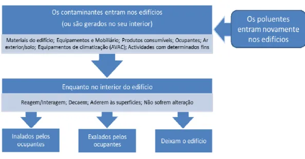 Figura 3 - Fluxo dos poluentes no interior dos edifícios (Burroughs, 2008)