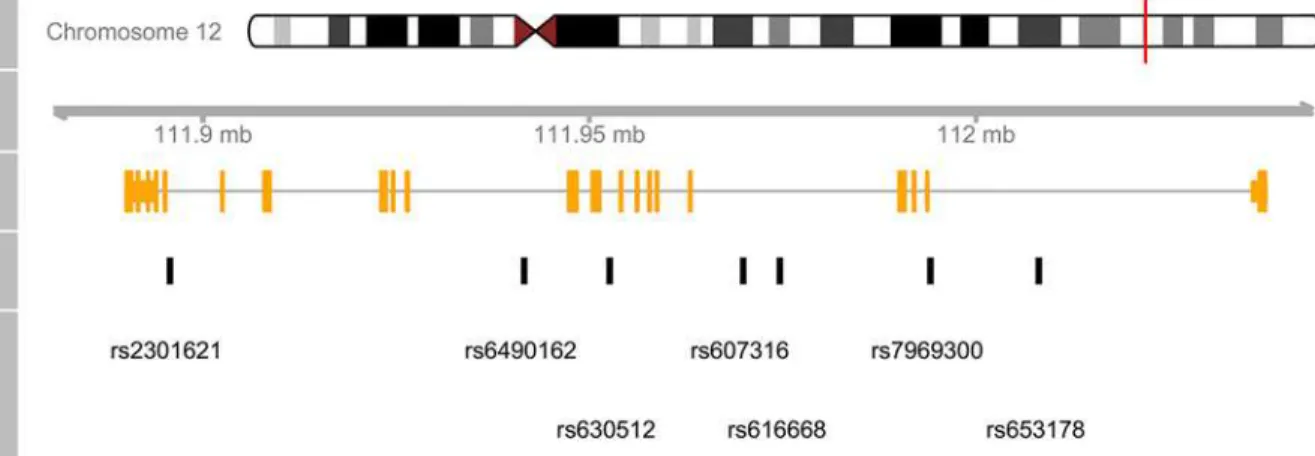 Fig 2. A concise genomic map for seven SNPs within ATXN2 using UCSC database. At the top, the relevant chromosome is drawn with the subregion of interest marked in red