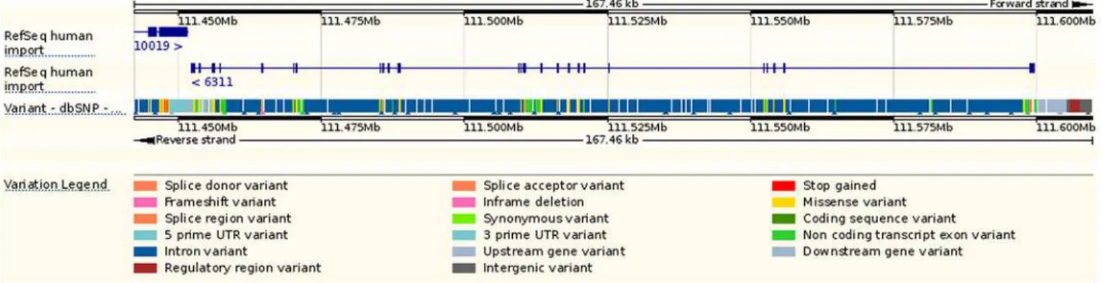 Fig 4. A genomic map for ATXN2 via Ensembl browser.
