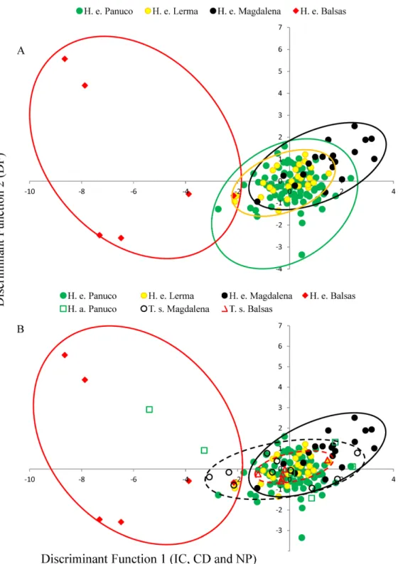 Figure 3 Discriminant plot. (A) Discriminant functions of advertisement call attributes of Hyla eximia.