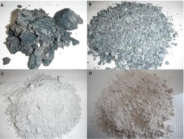 Figura  12_Amostras  dos  resíduos  da  caustificação.  A  -  dregs,  B  -  grits,  C  -  resíduos  de  lamas de cal, D - resíduos de cal