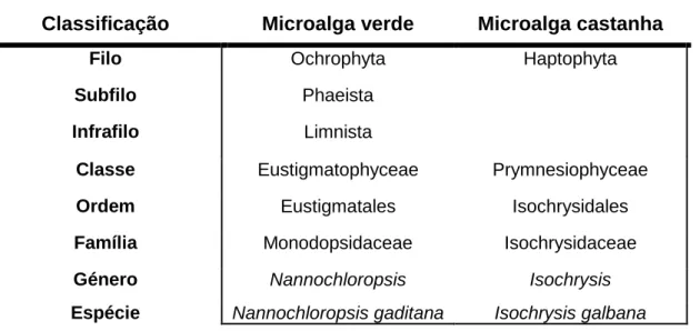 Tabela  I  -  Representação  taxonómica  da  Isochrysis  galbana  e  da  Nannochloropsis  gaditana  adaptado de Guiry, M