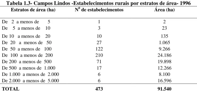 Tabela 1.3- Campos Lindos -Estabelecimentos rurais por estratos de área- 1996  