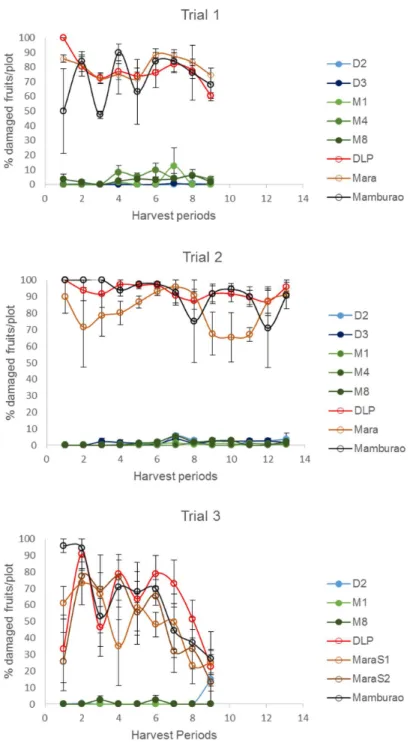 Fig 4. Temporal variation in % fruit damage in Bt vs. non Bt eggplants. Mean ± SEM percentage (%) EFSB-damaged fruits in Bt lines and their non-Bt eggplant comparators at different harvest periods