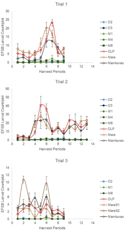 Fig 5. Temporal variation in number of surviving EFSB larvae in Bt vs. non Bt eggplants