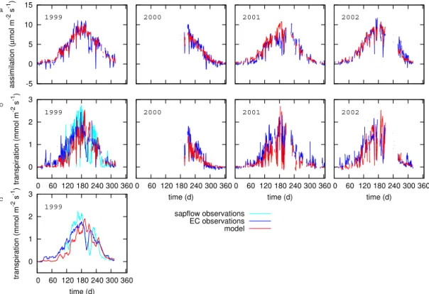 Figure 2. Annual cycle of simulated and observed daily mean (a) CO 2 assimilation and (b) transpiration for the years 1999–2002