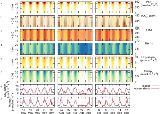 Figure 4. Overview of vertical gradients in the canopy for three periods: 18–22 May 1999 (case 1), 24–28 August 1999 (case 2) and 8–12 September 1999 (case 3)