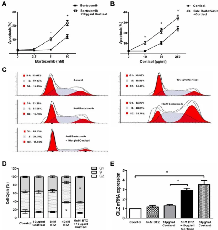 Figure 4. Pretreatment with bortezomib sensitizes Jurkat cells to cortisol-induced apoptosis and G1 cell cycle arrest