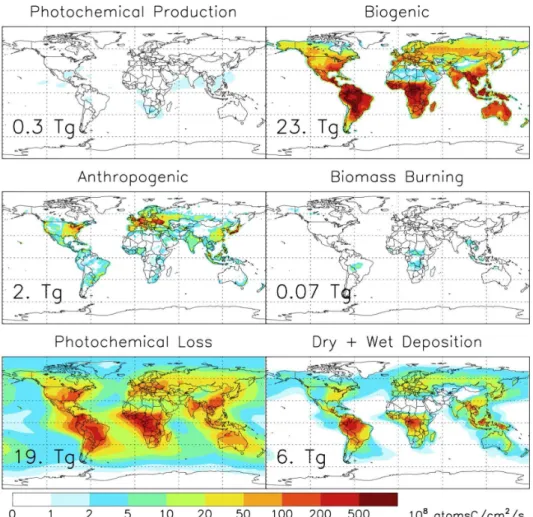 Fig. 2. Annual average sources and sinks of ethanol in GEOS-Chem. Shown are photochemical production, biogenic emissions from live and decaying plants, anthropogenic emissions (urban/industrial + biofuel), biomass burning emissions, photochemical loss, and