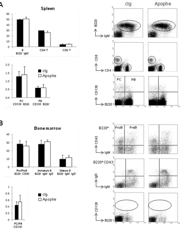 Figure 4. A blocking anti-APRIL does not modulate the T- and B-cell repertoire of NZB/W mice