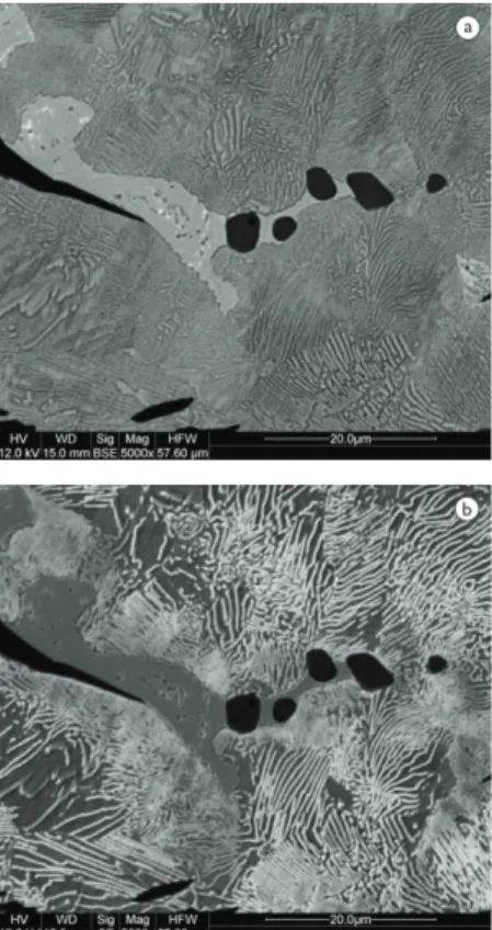 Figura 2. Micrografia por MEV do ferro fundido cinzento perlítico  após ataque com nital 3%