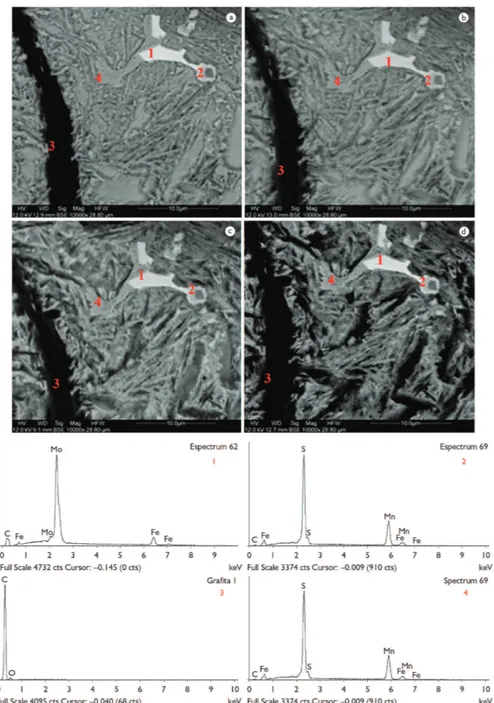 Figura 5. Micrografia por MEV do ferro fundido cinzento bainítico após ataque com condensado sintético